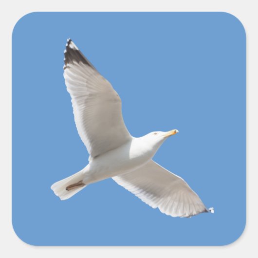 Vliegende meeuw vierkante sticker (Voorkant)