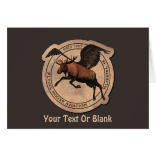 Vliegende Moose Aviation