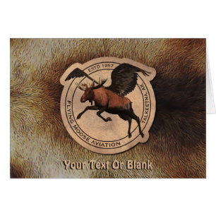 Vliegende Moose Aviation