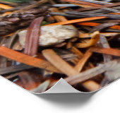 Vliegende paddenstoelen poster (Hoek)