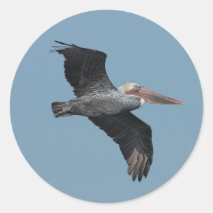 Vliegende Pelikaan 14 Sticker