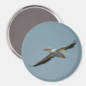 Vliegende Pelikaan Magneet 4 (Voorkant / Achterkant)