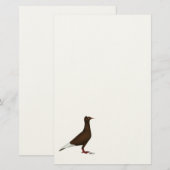 vliegende Pet duif Briefpapier (Voorkant / Achterkant)