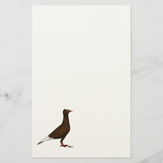 vliegende Pet duif Briefpapier (Voorkant)