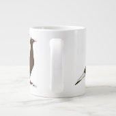 vliegende Pet duif Grote Koffiekop (Achterkant)