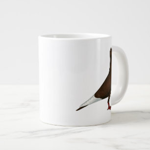 vliegende Pet duif Grote Koffiekop