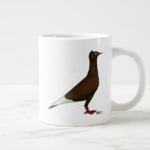 vliegende Pet duif Grote Koffiekop (Rechts)