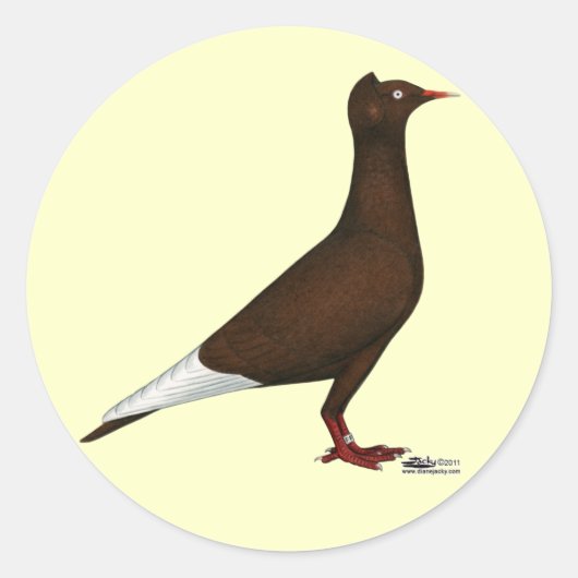 vliegende Pet duif Ronde Sticker (Voorkant)
