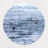 Vliegende pinguïn labels (Design 2)