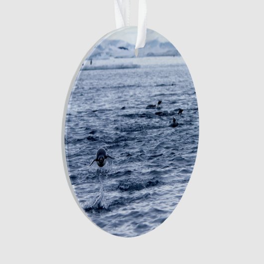 Vliegende pinguïn ornament (voorkant)