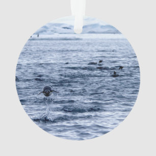 Vliegende pinguïn ornament