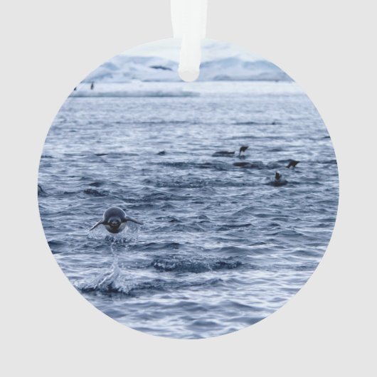 Vliegende pinguïn ornament (achterkant)