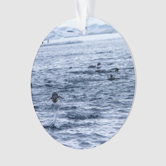 Vliegende pinguïn ornament (voorkant)