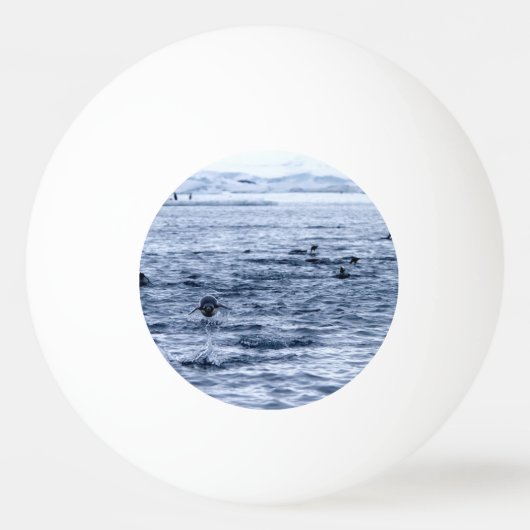 Vliegende pinguïn pingpongbal (Achterkant)