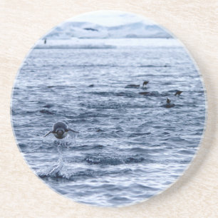 Vliegende pinguïn zandsteen onderzetter