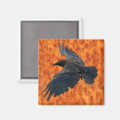 Vliegende Raven, Crow & Rustieke Grunge Art Magnet (Voorkant / Achterkant)