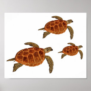 Vliegende schildpadden poster
