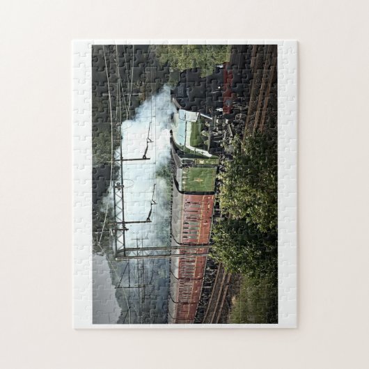 Vliegende Schot op de Mainline (5539) Legpuzzel (Verticaal)