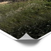 Vliegende Schot op de Mainline (5539) Poster (Hoek)