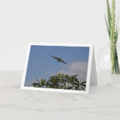 Vliegende schuur slikken portret kaart (Voorkant)