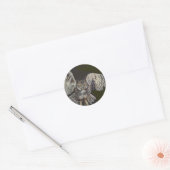 Vliegende tijgeruil ronde sticker (Envelop)