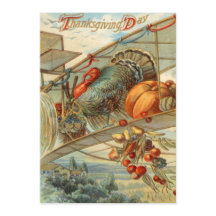 Vliegende Turkije Vliegtuig Pompoen Appel Peer Maï