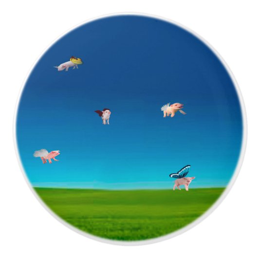 vliegende varkensknop keramische knop (Voorkant)