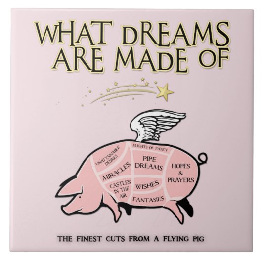 Vliegende varkensvlekken - Welke dromen zijn er ge Tegeltje (Voorkant)