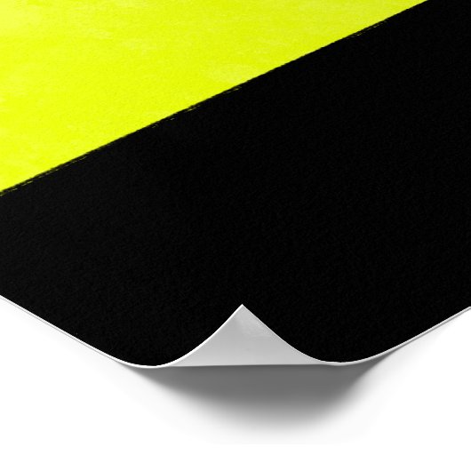 Vliegende vis'24 poster (Hoek)