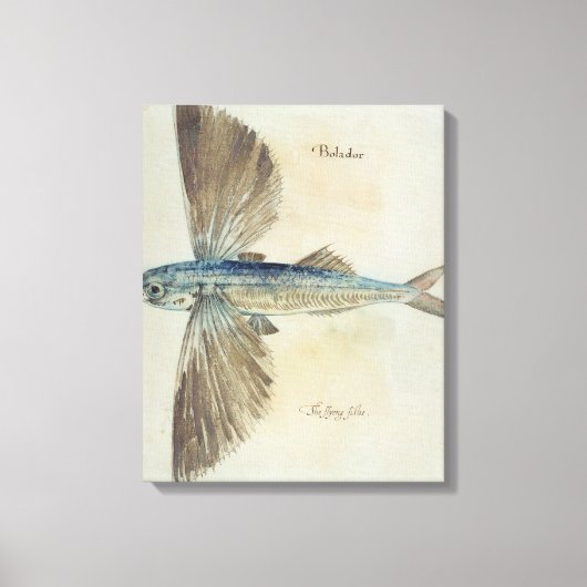 Vliegende vis canvas afdruk (Voorkant)