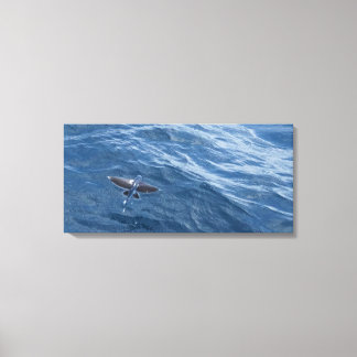 Vliegende Vis Canvas Afdruk