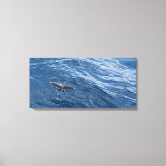Vliegende Vis Canvas Afdruk (Voorkant)