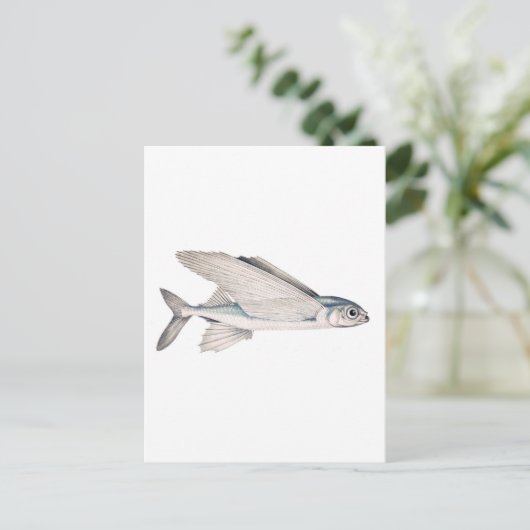 Vliegende vis Exocoetidae Briefkaart (Staand voorkant)