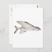 Vliegende vis Exocoetidae Briefkaart (Voorkant / Achterkant)