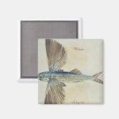 Vliegende vis magneet (Voorkant / Achterkant)