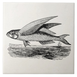 vliegende vis - Sjabloon voor de visserij in het Tegeltje