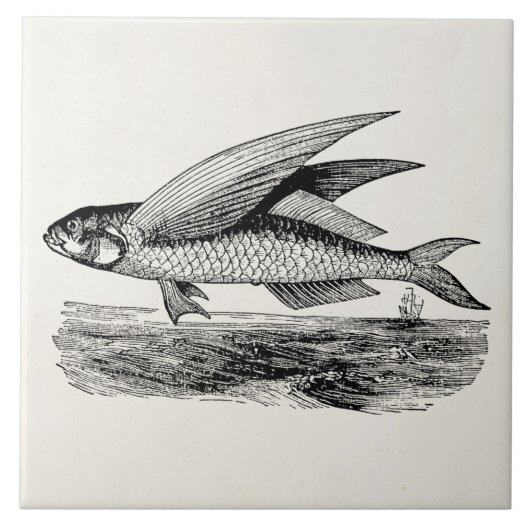  vliegende vis - Sjabloon voor de visserij in het  Tegeltje (Voorkant)