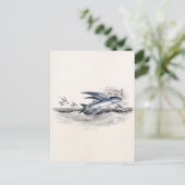 vliegende vissen uit de jaren 1800 in de oceaango briefkaart (Staand voorkant)