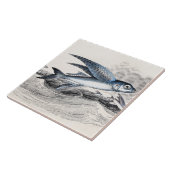  vliegende vissen uit de jaren 1800 in de oceaango tegeltje (Zijkant)