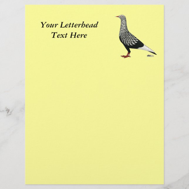 vliegende vliegende tiener duif (Voorkant)