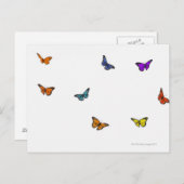 Vliegende vlinder briefkaart (Voorkant / Achterkant)