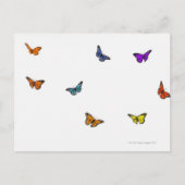 Vliegende vlinder briefkaart (Voorkant)