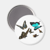 Vliegende vlinder magneet (Voorkant / Achterkant)