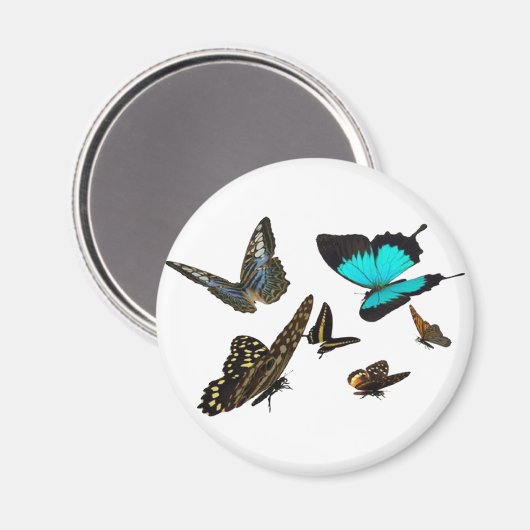 Vliegende vlinder magneet (Voorkant / Achterkant)