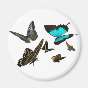 Vliegende vlinder magneet