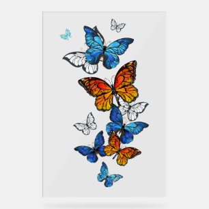 Vliegende Vlinders Morpho en Monarch Acryl Bord