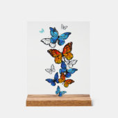 Vliegende Vlinders Morpho en Monarch Acryl Bord (Voorkant)