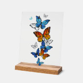 Vliegende Vlinders Morpho en Monarch Acryl Bord (Hoek)