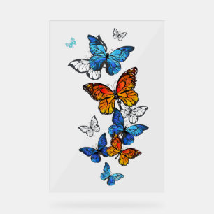 Vliegende Vlinders Morpho en Monarch Acryl Bord