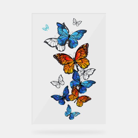 Vliegende Vlinders Morpho en Monarch Acryl Bord (Voorkant)